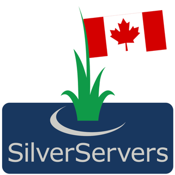 SilverServers Newsletter: July 2024