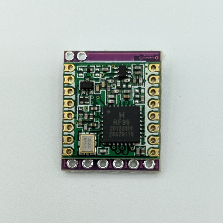 Close-up of a small green electronic circuit board module with microchips and gold pin connectors on a white background, representing a custom remote monitoring or IoT sensor device.