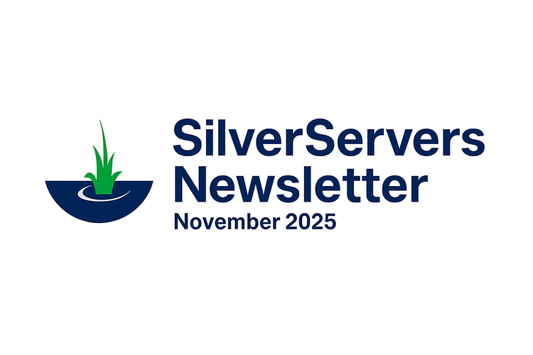 SilverServers Newsletter: November 2025