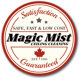 Magic Mist Ceiling Cleaning logo