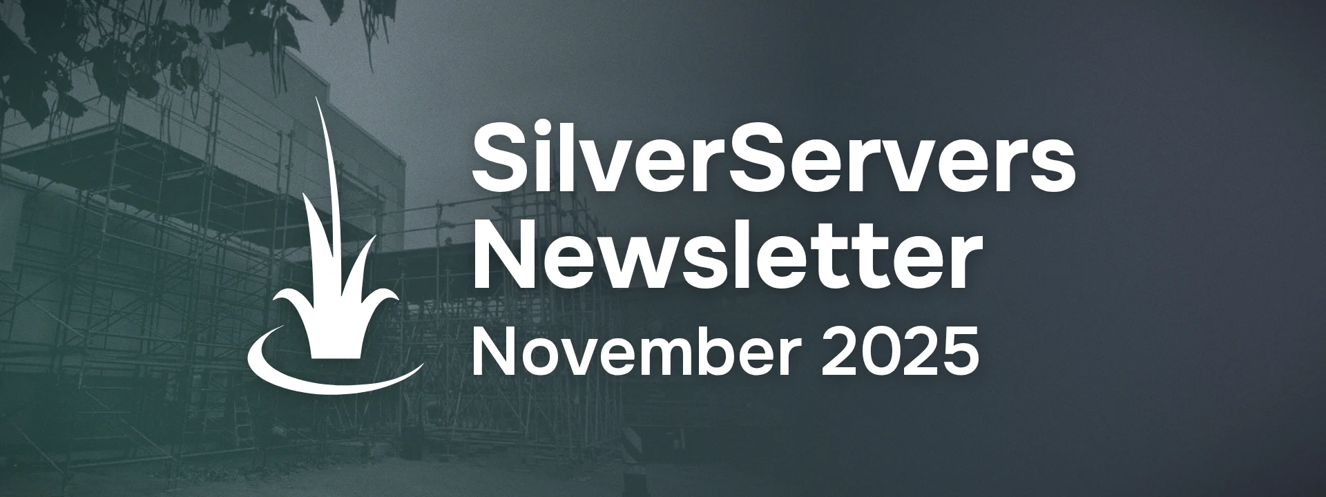 SilverServers Newsletter: November 2025