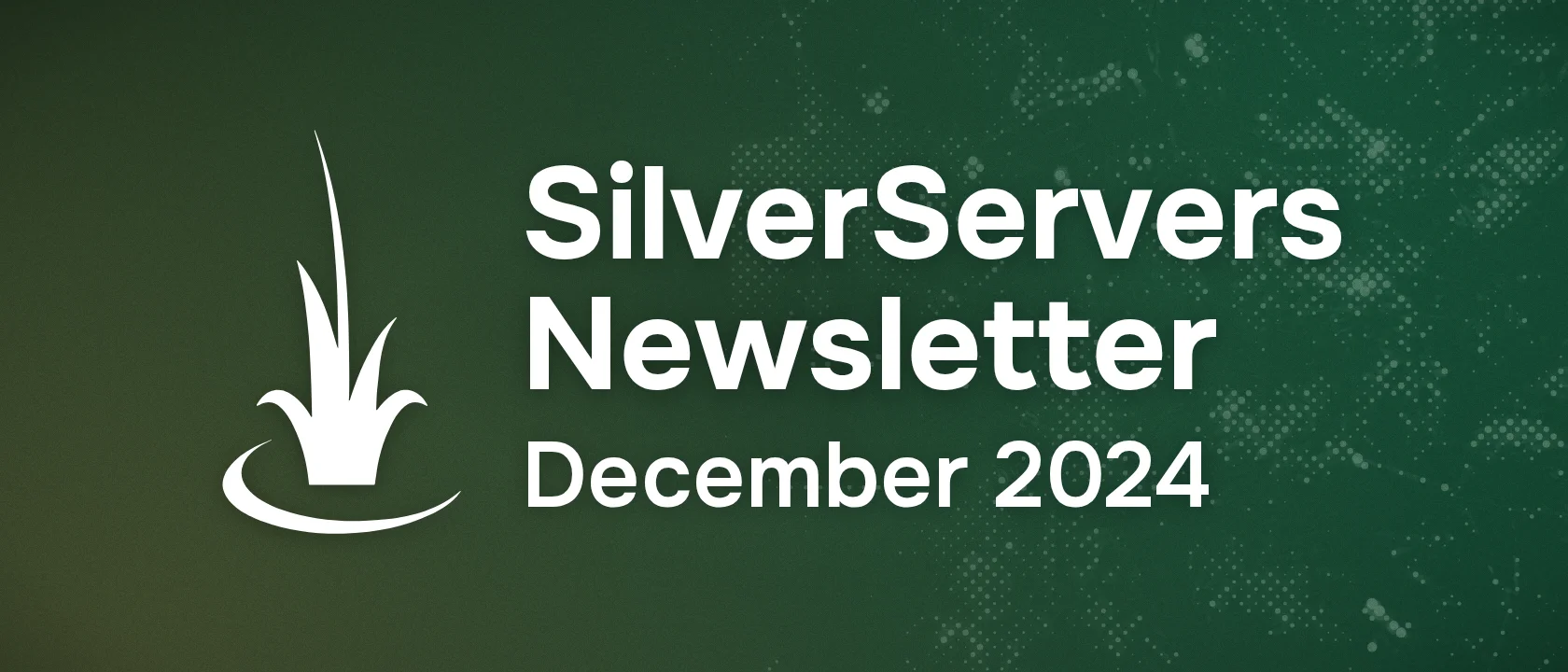 SilverServers Newsletter: December 2024
