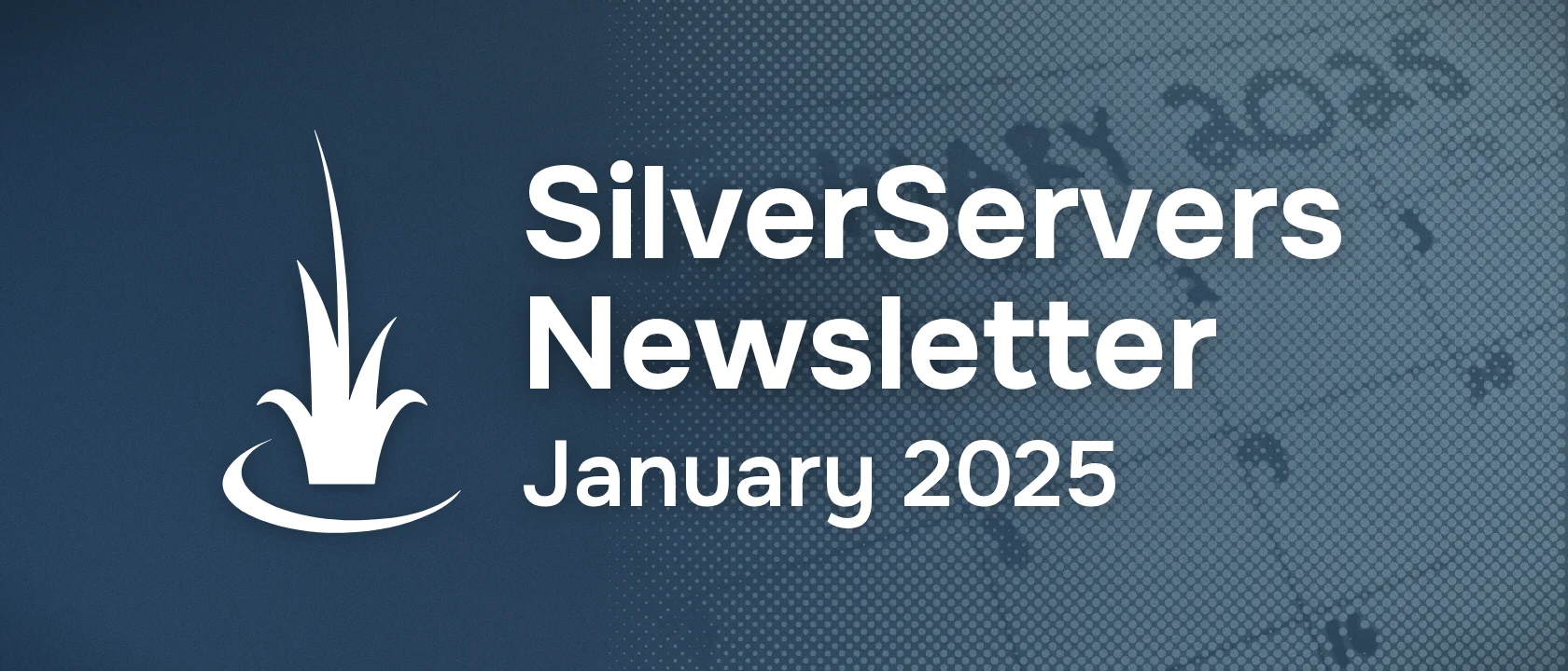 SilverServers Newsletter: January 2025