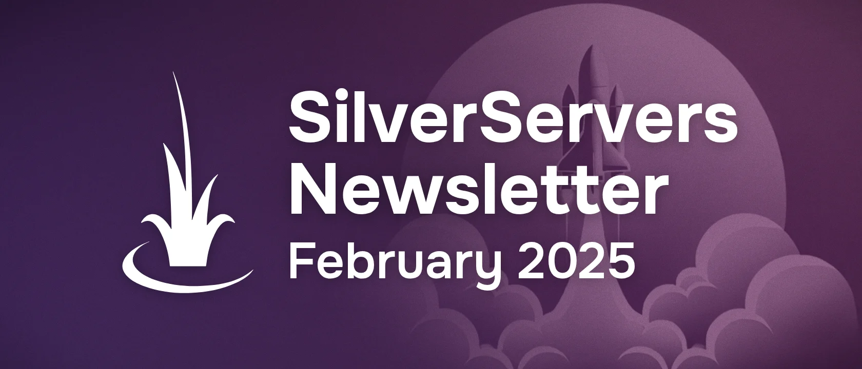 SilverServers Newsletter: February 2025