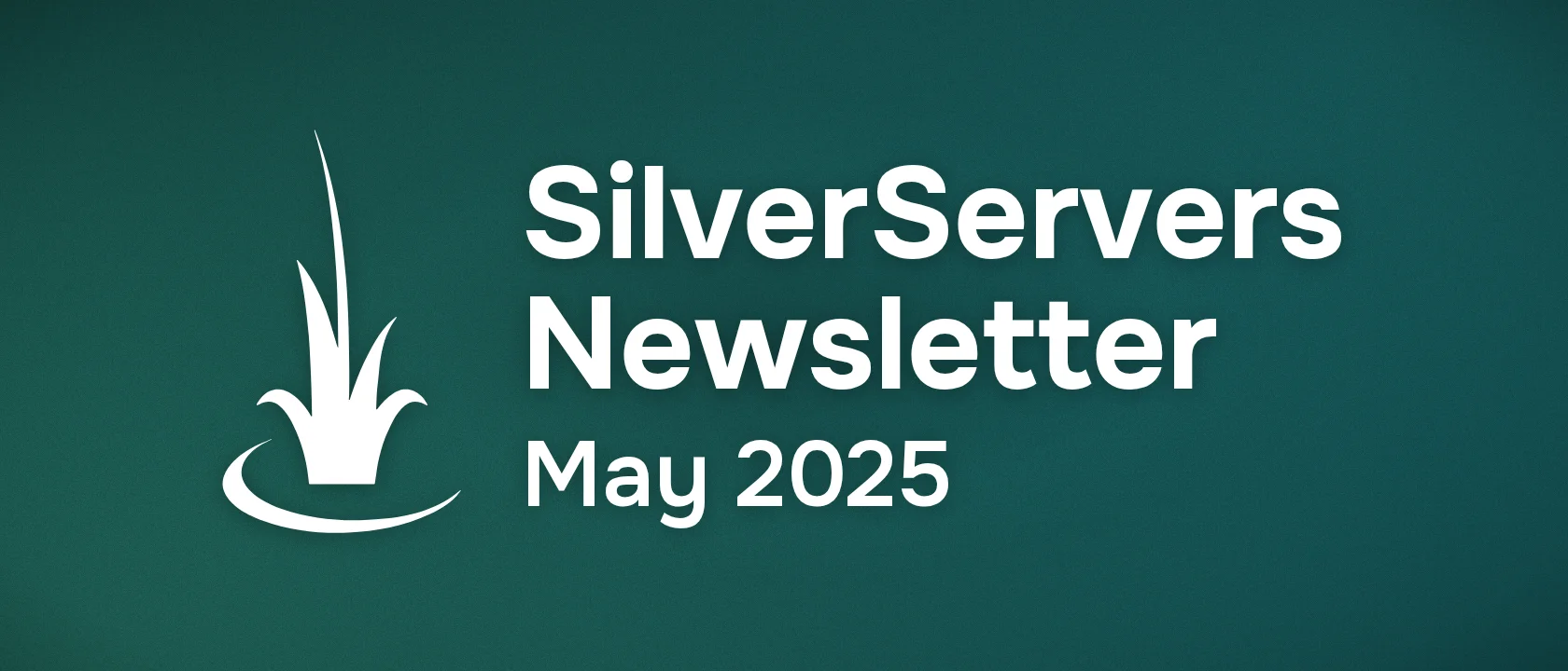 SilverServers Newsletter: May 2025