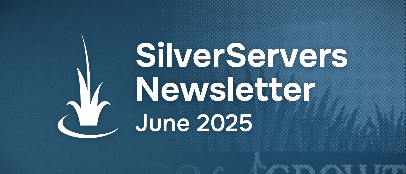SilverServers Newsletter: June 2025