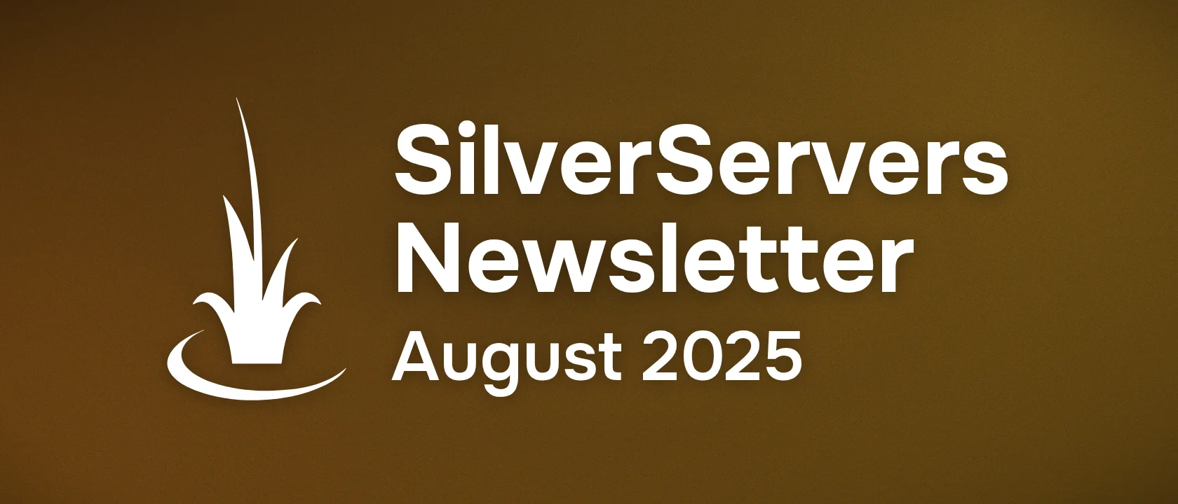 SilverServers Newsletter: August 2025