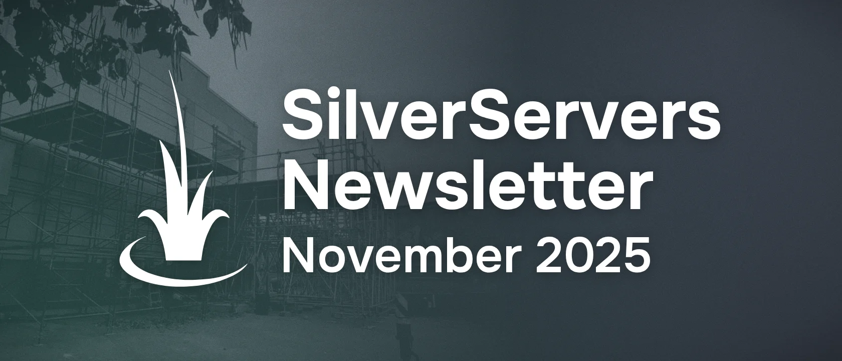 SilverServers Newsletter: November 2025